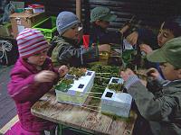 (119 von 243) : KIGA Hausen Waldwoche